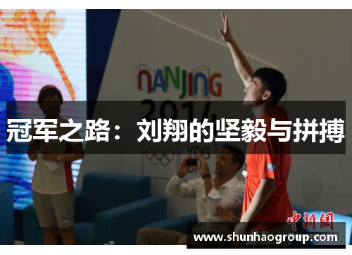 冠军之路：刘翔的坚毅与拼搏